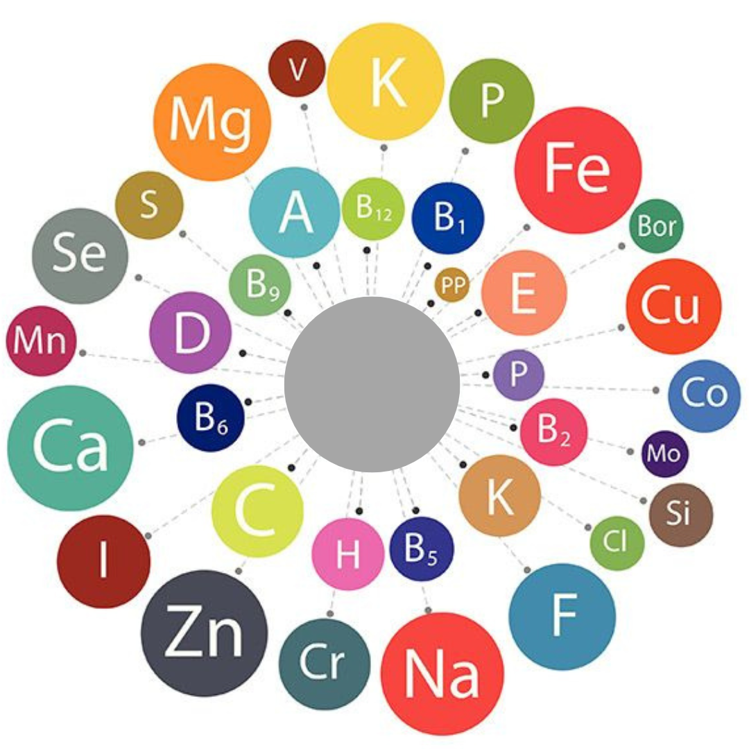 Micronutrients Explained The Tiny Nutrients Quietly Running Your Child’s Entire Body, Mind, and Emotions