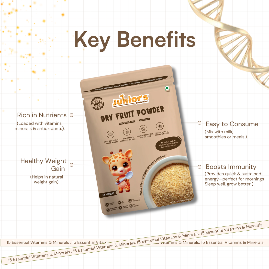 DRY FRUIT POWDER