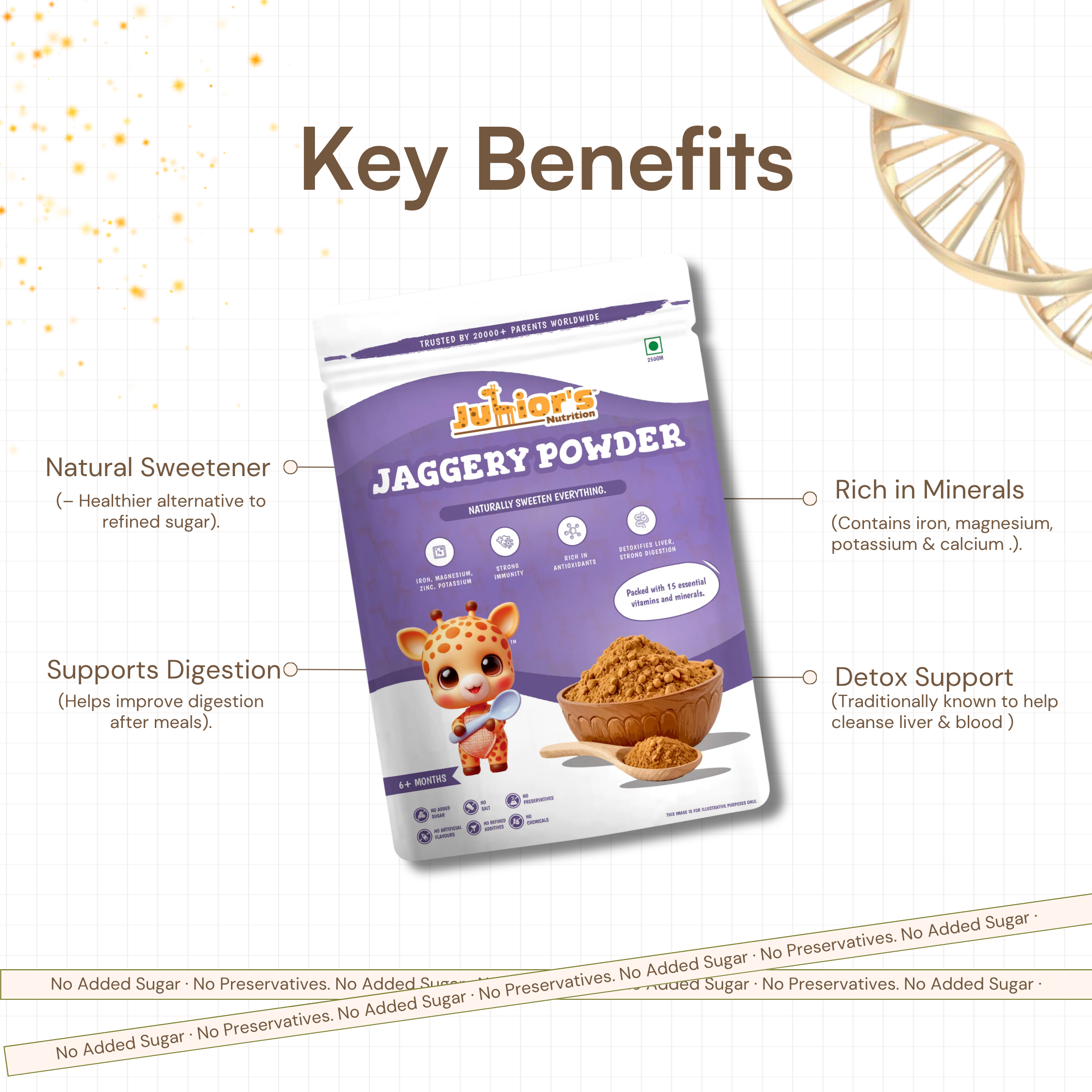 JAGGERY POWDER