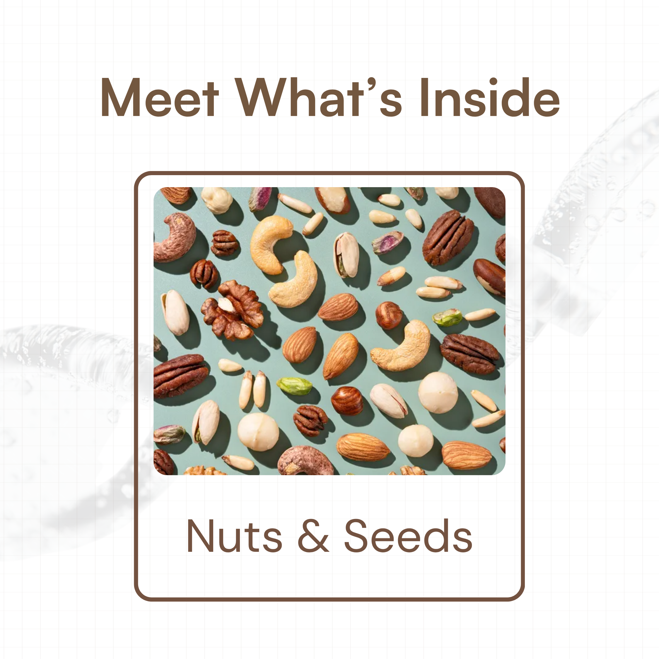 SEEDS MIX